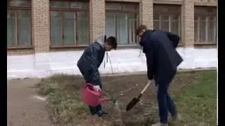ООО 