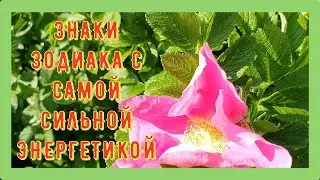 ЗНАКИ ЗОДИАКА С САМОЙ СИЛЬНОЙ ЭНЕРГЕТИКОЙ