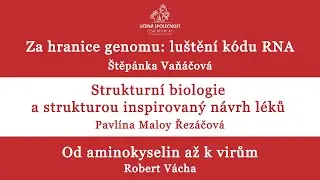 Štěpánka Vaňáčová, Pavlína Maloy Řezáčová, Robert Vácha
