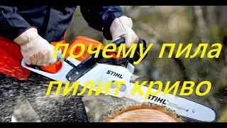 Почему пила пилит криво. Как правильно выбрать шину для бензопилы.