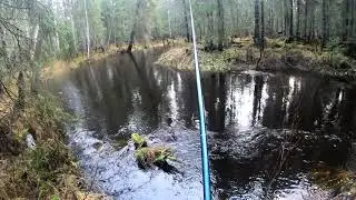 Большая вода.Хариус спрятался.Татарина побрили.
