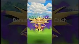 shadow zapdos raid Pokemon go