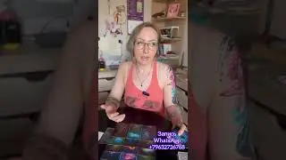 Что вам нужно знать здесь и сейчас? Ватсап 89632726768 