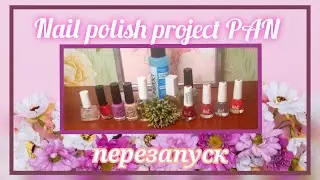 Nail polish project PAN 2023 // перезапуск