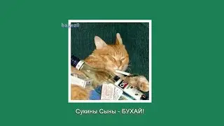 Сукины Сыны - БУХАЙ! [slowed + lyrics]