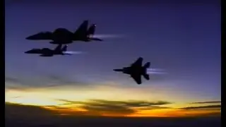 航空自衛隊 F-15J アグレッサー(飛行教導隊)/Japan Air Self-Defense Force Aggressor in1993