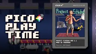 Pico Playtime: Project Echidna