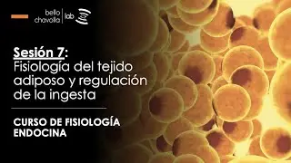 Fisiología del tejido adiposo y regulación de la ingesta