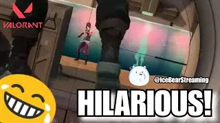 HILARIOUS! - VALORANT Gameplay - ICE BEAR feat. Terry Hal & Slash.