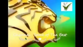 BPL  Some of The Best