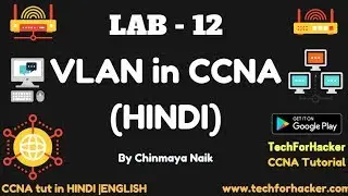 VLAN in CCNA | HINDI | LAB-12