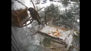 LW-funikulierius.wmv