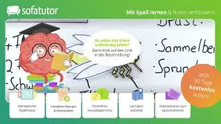 Bau der Insekten – Erklärung & Merkmale