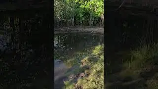 Era muita Ação