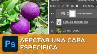 AFECTA SOLO UNA CAPA al insertar filtros en Photoshop