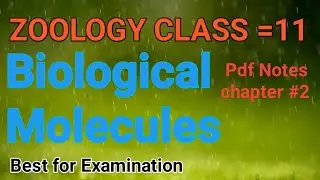 Biological Molecules/chapter 2/Zoology class 11/Pdf Notes/best for examination /sindh text book