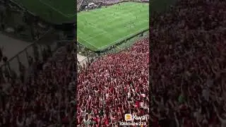 Flamengo é paixão