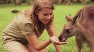 Welcome to the Sunshine Coast, home of Bindi Irwin and Australia Zoo!