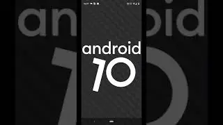 Android 10 Easter Egg