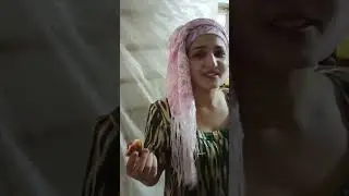 роишку чураи нурикутда