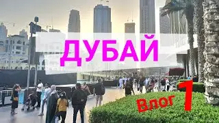 Крутейший арабский мегаполис - Дубай/Влог/Начало