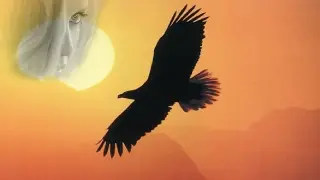 Вільний ПТАХ__ Катя Качановська