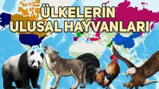 NATIONAL ANIMALS OF COUNTRIES AND THE AMAZING FACTS BEHIND THEM!