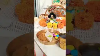 Laddu Gopal Ji Seva 🙏🏽