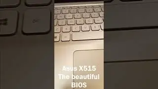 The Beautiful BIOS of ASUS Vivobook 15 X515
