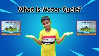 Water Cycle | What Is Water Cycle? | Water Cycle Explained In English