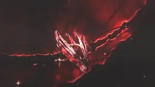 INTRO TEAM VENNOMNATION V.2 | LEONFX