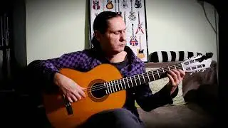 The Best Guitar for the Price / Yamaha CGX 122 MS