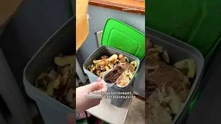 5 lucruri pe care mi-aș fi dorit să le știu înainte de a începe să sortez deșeurile organice acasă🏡