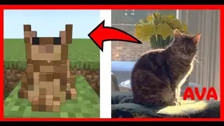 I Made my Cat in Minecraft