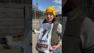 Гуффи и Синди нужен спец корм 