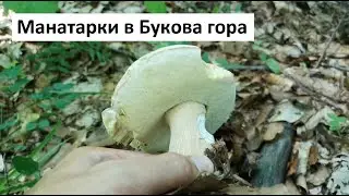 Манатарки в Букова гора