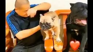 Жизненно🤣
