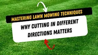 How do I cut my grass? | Why Cutting Your Grass In Different Directions Matters! #landscaping