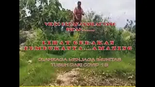 menajubkan...pertengahan video tampilkan gerakan silat yang indah.
