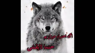 🖤کلیپ فاز سنگین🖤