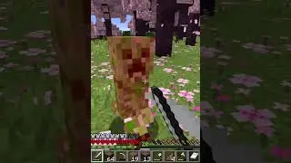 Hardcore Minecraft 1.20 Cherry Grove Peaceful? Creeper Says No! #shorts