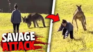 This Pet Kangaroo Fatally Attacks His Owner In Front of Everyone!