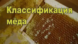 Классификация мёда