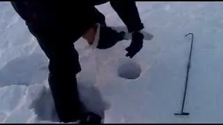 Клёвая рыбалка.Щука на жерлицу.