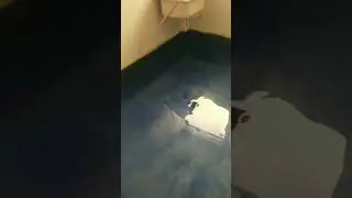 Resin the laundry floor.
