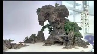 inspirasi bonsai mame #bonsaiinspirasi #belajarbonsai #hobbybonsai #bonsaiindonesia #bonsaitree