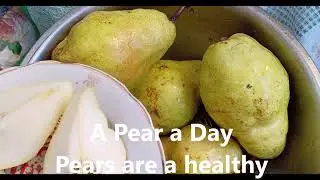 Pear, Eating Pears with Skin on, Williams Pear, Barret Pears