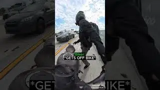 Biker Turns Around On The Highway To Save A Cat...