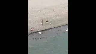 осень
