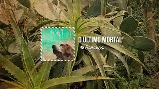 Drai - O Último Mortal